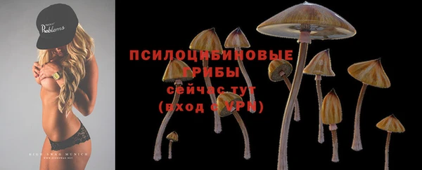 метадон Коряжма