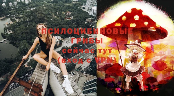 гашик Домодедово